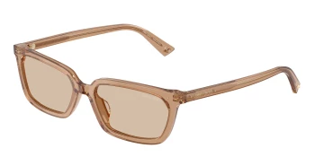 Jimmy Choo JC5050U style-color 507693 Transparent Tan / Light Brown Lens