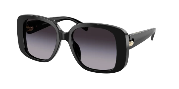 Rag & Bone 1048/G/S Sunglasses | Free Shipping | EZContacts.com display picture 3