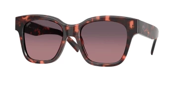 Costa Del Mar 6S2016 NUSA 06S2016 style-color 201607 Sunset Tortoise / Rose Gradient Lightwave Glass Lens