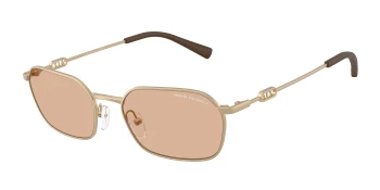 Armani Exchange AX2056S style-color 612173 Matte Pale Gold / Brown Lens