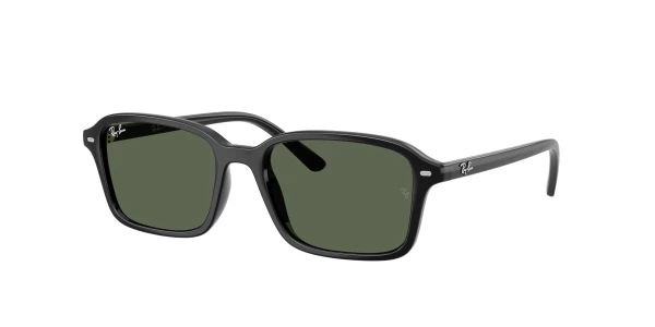 Ray-Ban RJ9131S