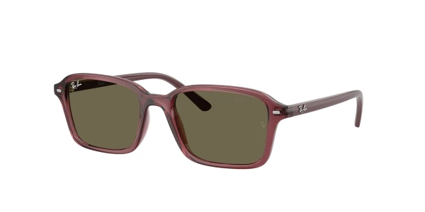 Ray-Ban RJ9131S