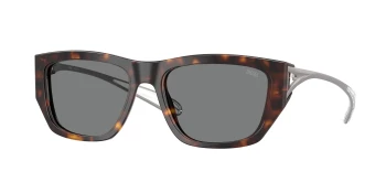 Diesel DL2006 style-color 200387 Havana / Dark Grey Lens