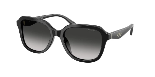 Coach HC8271U L1101 Sunglasses | Free Shipping | EZContacts.com display picture 2