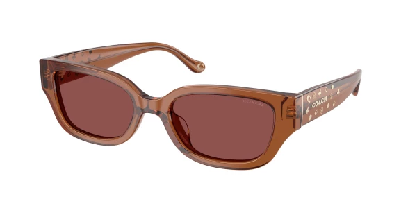 Coach HC8439U CBZ52 0HC8439U Sunglasses | Free Shipping
