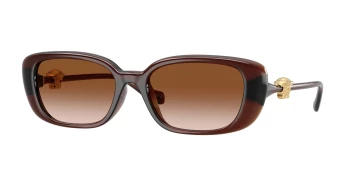 Versace VE4504D style-color 533213 Transparent Brown / Brown Gradient Lens