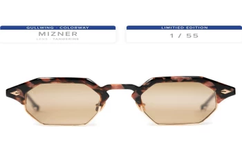 T Henri GULLWING style-color Mizner