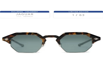 T Henri GULLWING style-color Jaguar