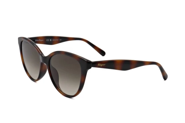 Salvatore Ferragamo SF1073S