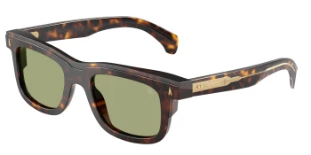 Moncler ME6004 CLARO 0ME6004 style-color 300282 Brown Tortoise / Green Lens