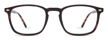 Eco HAYES style-color DKTT Dark Tortoise