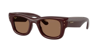 Ray-Ban RB4940 WAYFARER PUFFER 0RB4940 style-color 687773 Dark Brown / Dark Brown Lens