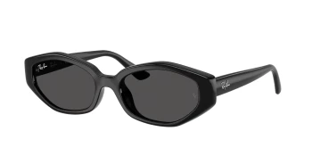 Ray-Ban RB4473D style-color 667787 Black / Dark Grey Lens