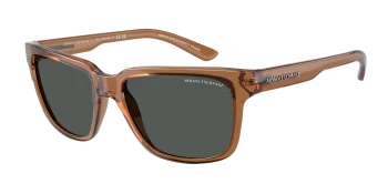 Armani Exchange AX4026S style-color 835887 Shiny Transparent Brown / Dark Grey Lens