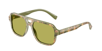 Dolce & Gabbana DX4003 style-color 3488/2 Print Green Figs / Green Lens