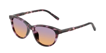 Dolce & Gabbana DX4010 style-color 3477EL Violet Havana / Orange/Violet Lens