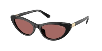 Polo PH4199U style-color 500169 Shiny Black / Dark Violet Lens