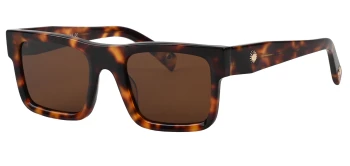 Vesari ORSO style-color C2 Havana / Brown Lens
