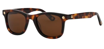 Vesari V1-1140 style-color C2 Shiny Havana