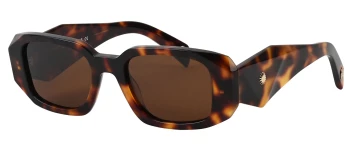 Vesari V2-1017 style-color C2 Havana / Brown Lens