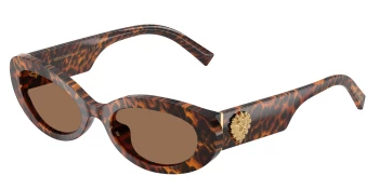 Dolce & Gabbana DG4537 style-color 347073 Leo Transparent / Dark Brown Lens