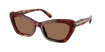 Coach HC8452U CDP52 0HC8452U style-color 593873 Walnut Tortoise / Brown Solid Lens