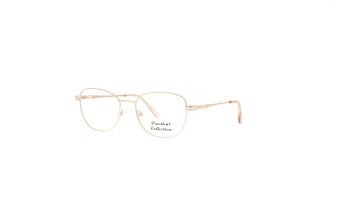 Practical Collection PHOENIX style-color Brown Brown