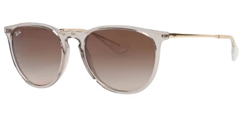 Ray-Ban RB4171 ERIKA style-color 674413 Transparent Light Brown / Brown Lens
