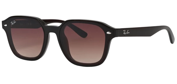 Rb4458 Ray-Ban RB4458D Sunglasses | Free Shipping