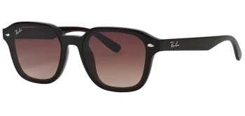 Ray-Ban RB4458D style-color 714/13 Transparent Dark Brown / Gradient Brown Lens