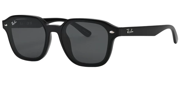 Ray-Ban RB4458D