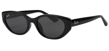 Ray-Ban RB4457D style-color 667787 Black / Dark Grey Lens