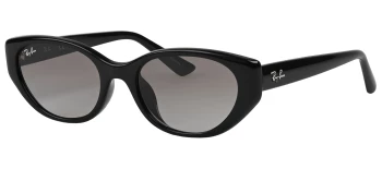 Ray-Ban RB4457D style-color 667711 Black / Grey Gradient Lens
