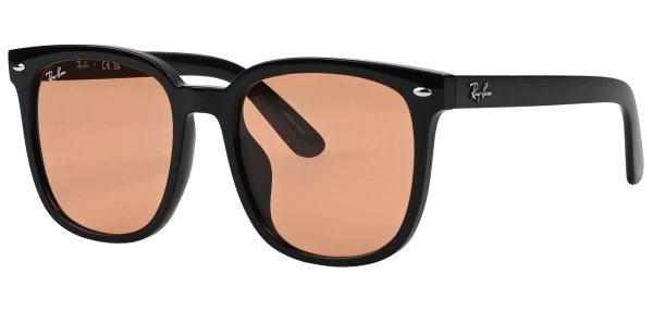 Ray-Ban RB4401D