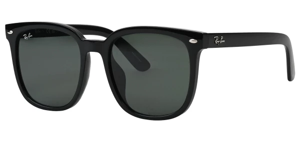 Ray-Ban RB4401D