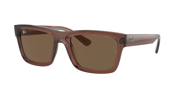 Ray-Ban RB4396F WARREN 0RB4396F