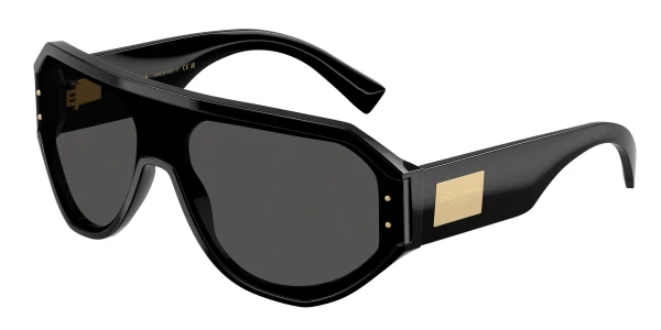 Dolce & Gabbana DG4481F