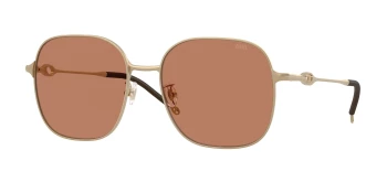Diesel DL1010D style-color 101173 Matte Gold / Brown Lens