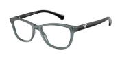 Emporio Armani EA3099