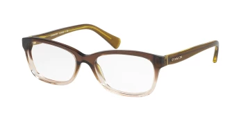 Coach HC6089 style-color 5400 Transparent Olive Gradient
