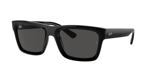 Ray-Ban RB4396F WARREN 0RB4396F