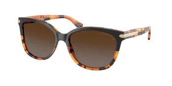 Coach HC8132 L109 style-color 5438T5 Black Tortoise Gradient / Brown Gradient Polarized Lens