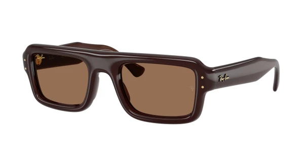 Ray-Ban RB4954