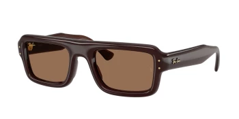 Ray-Ban RB4954 style-color 689673 Transparent Dark Brown / Dark Brown Lens