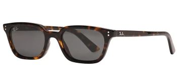 Ray-Ban RB4456 ZAYA 0RB4456 Sunglasses | Free Shipping