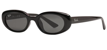 Ray-Ban RB4441D style-color 667787 Black / Dark Grey Lens