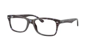 Ray-Ban RX5228