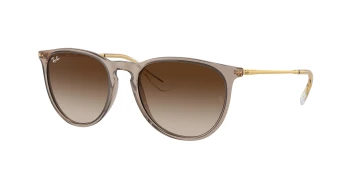 Ray-Ban RB4171 ERIKA style-color 674413 Transparent Light Brown / Brown Lens